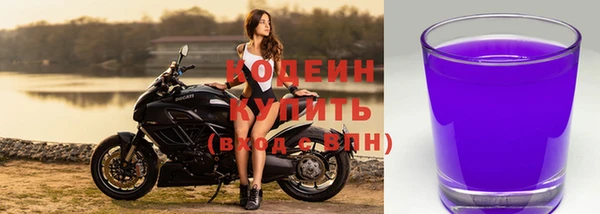 гидра Бородино