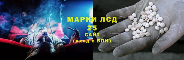 гидра Бородино