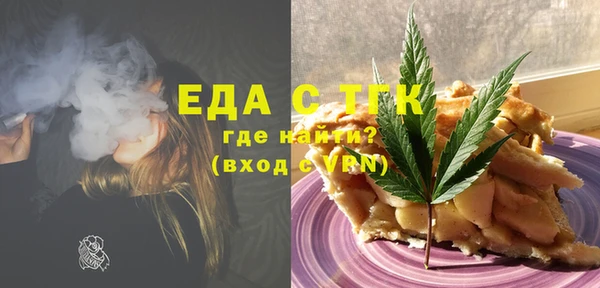гидра Бородино