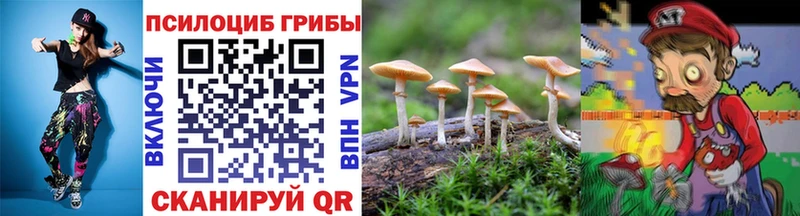 мориарти формула закладки Лыткарино Псилоцибиновые грибы ЛСД